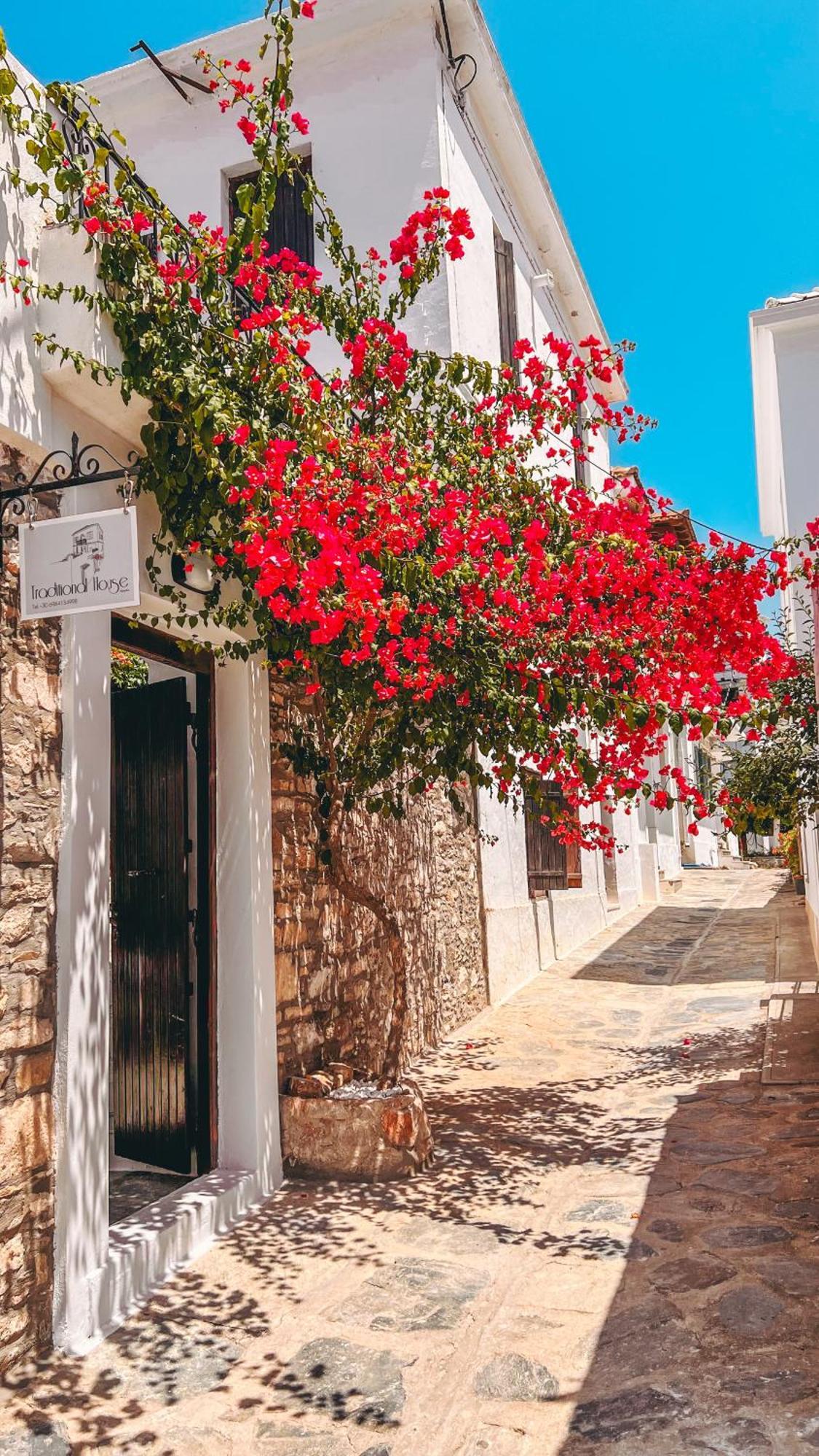 Traditional House Bandar Skopelos Luaran gambar
